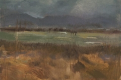 Moody Vlei