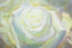 Soft White-Green Rose