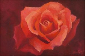 Little Peach Rose